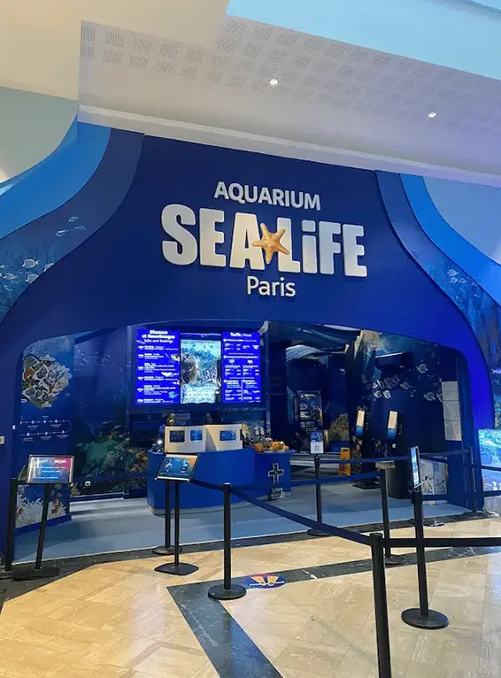 Lettres découpées pour Sea Life, réalisées par Atelier Gambetta